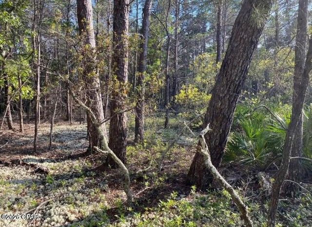 0 No Street Address, Panama City Beach, FL 32413