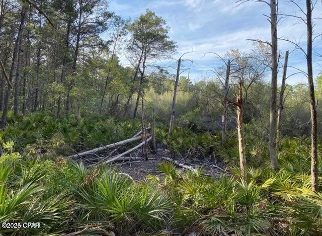 0 No Street Address, Panama City Beach, FL 32413