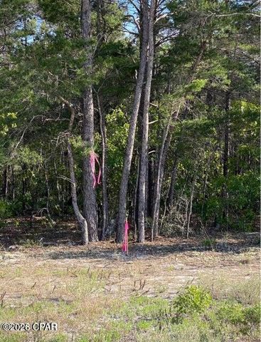 0 No Street Address, Panama City Beach, FL 32413