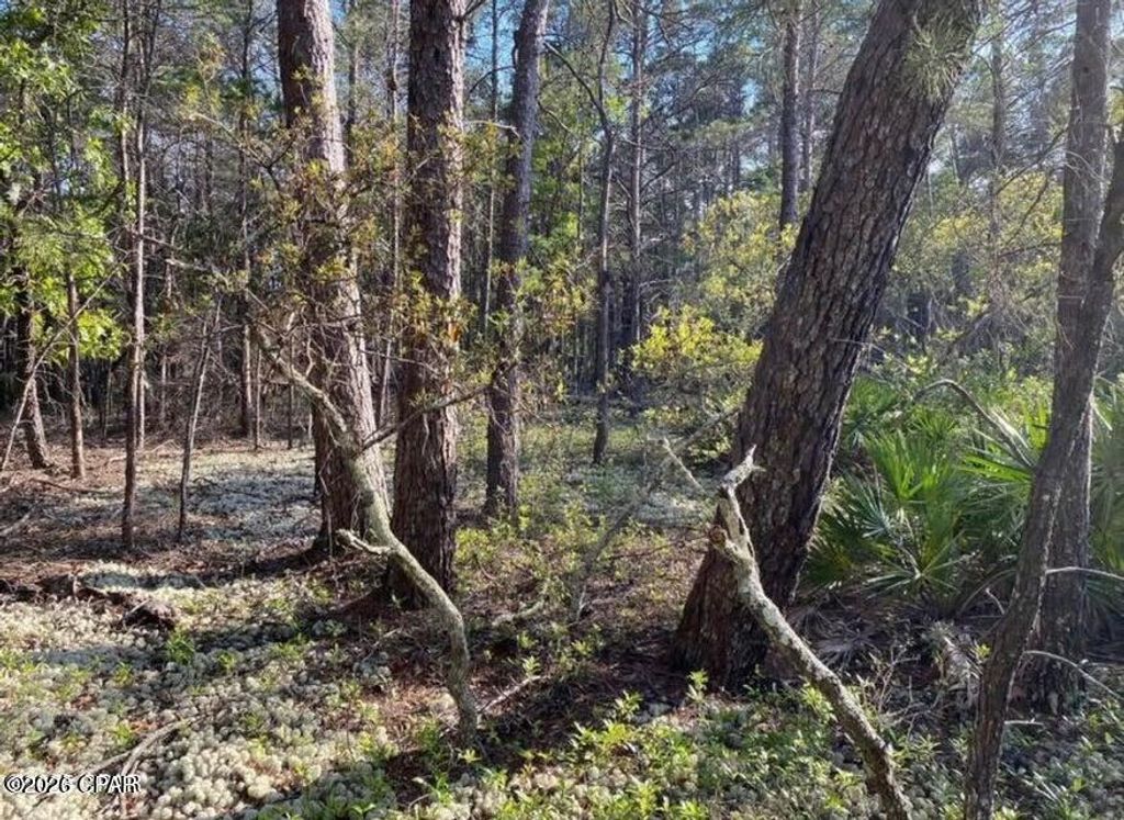 Image 11 of property listing at 0 No Street Address, Panama City Beach, FL 32413