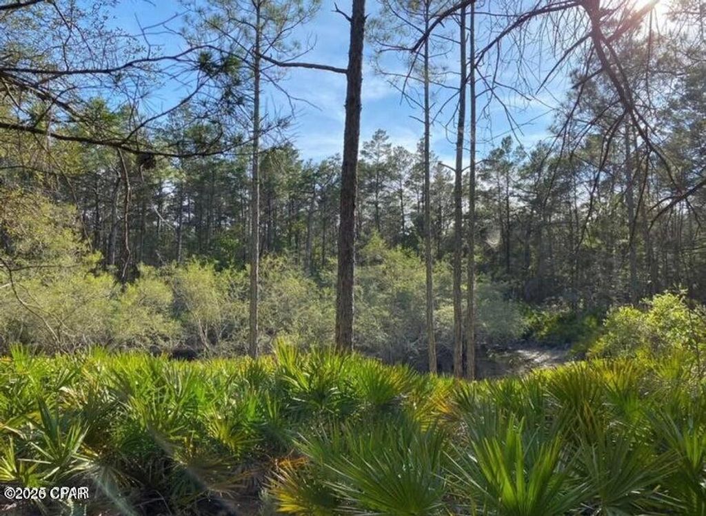 Image 7 of property listing at 0 No Street Address, Panama City Beach, FL 32413