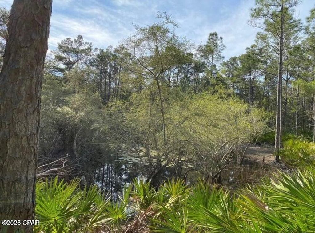 Image 8 of property listing at 0 No Street Address, Panama City Beach, FL 32413