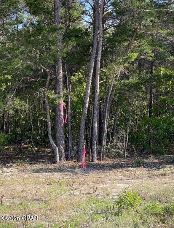 Image 9 of property listing at 0 No Street Address, Panama City Beach, FL 32413