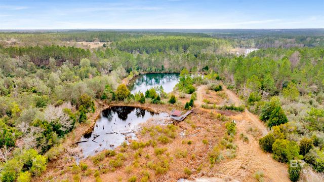 32106 W Seminole Road, Seminole, AL 36574