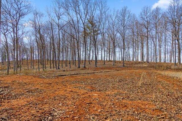 Lot 85 Split Creek Road, Morganton, GA 30560