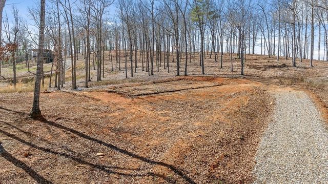 Lot 85 Split Creek Road, Morganton, GA 30560