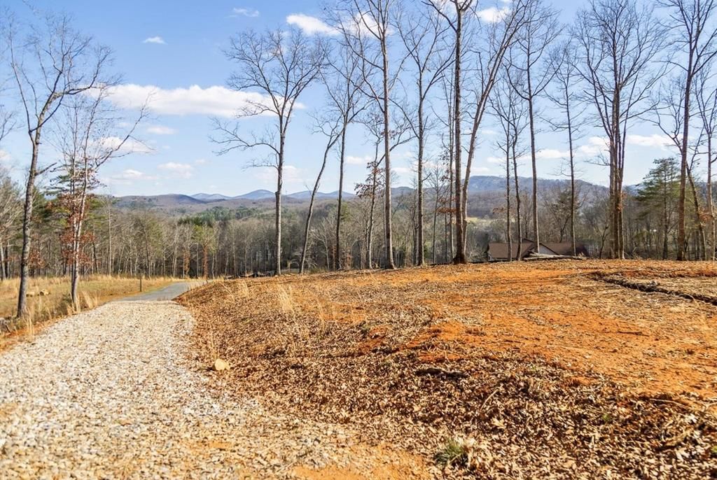 Lot 85 Split Creek Road, Morganton, GA 30560