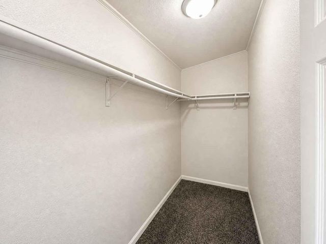 11822 Greenspark Lane, Houston, TX 77044