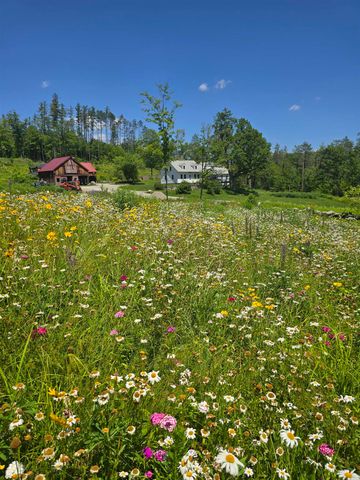 4669 Vermont Rte 100, Londonderry, VT 05148