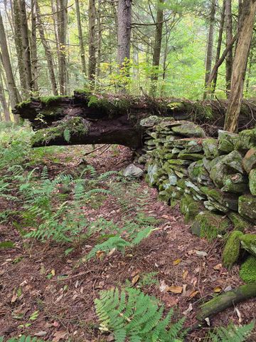 4669 Vermont Rte 100, Londonderry, VT 05148