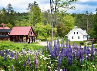 4669 Vermont Rte 100, Londonderry, VT 05148