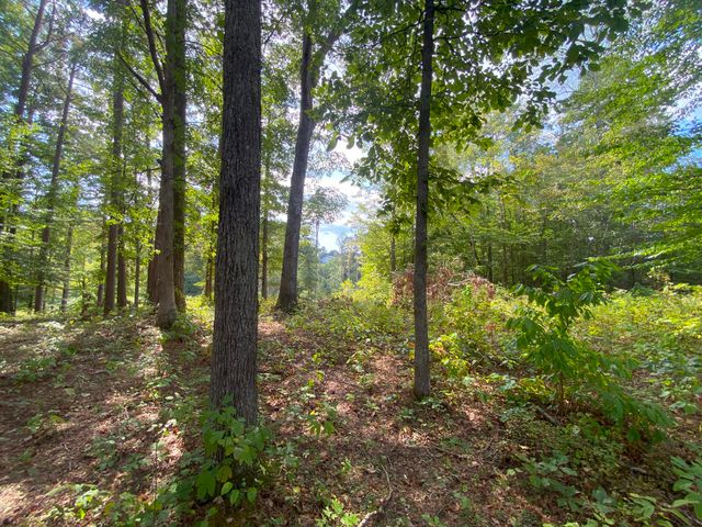 0 Douglas Boulevard, Corbin, KY 40701