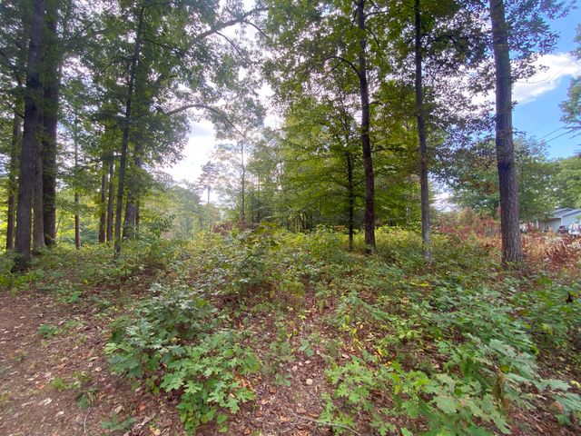 0 Douglas Boulevard, Corbin, KY 40701