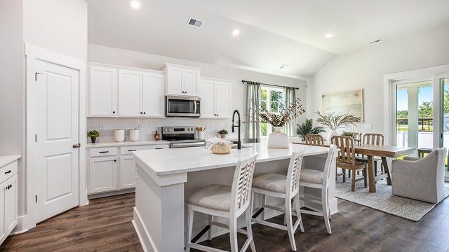 224 Squirrel Run Dr., Conway, SC 29526