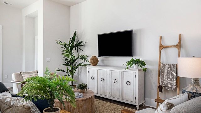 224 Squirrel Run Dr., Conway, SC 29526