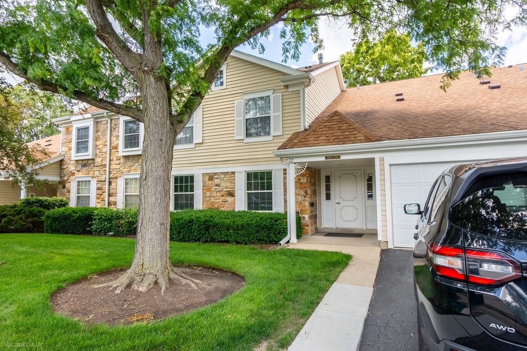 284 APPLETREE Court 284, Buffalo Grove, IL 60089