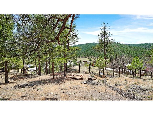 28368 Cedar Ave, Pine, CO 80470