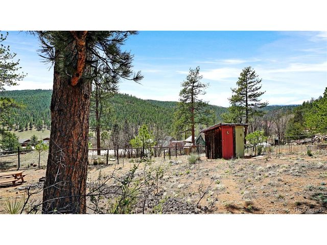 28368 Cedar Ave, Pine, CO 80470