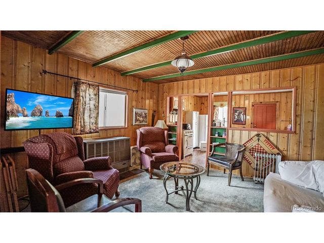 28368 Cedar Ave, Pine, CO 80470