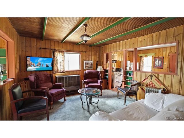 28368 Cedar Ave, Pine, CO 80470
