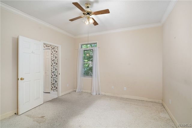 939 Parkhill, Tuscaloosa, AL 35404