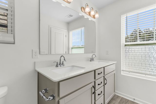 658 Snow Owl Drive, Summerville, SC 29486