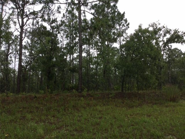 2191 W CITRUS SPRINGS BOULEVARD, Dunnellon, FL 34434