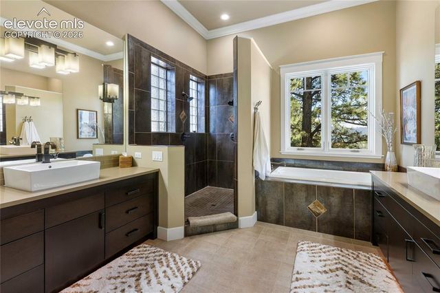 368 Patricia Point, Woodland Park, CO 80863