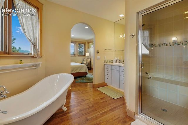 368 Patricia Point, Woodland Park, CO 80863