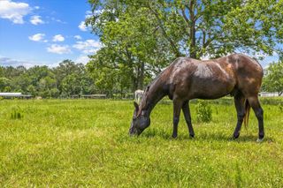 0000 Fm 1632, Woodville, TX 75979