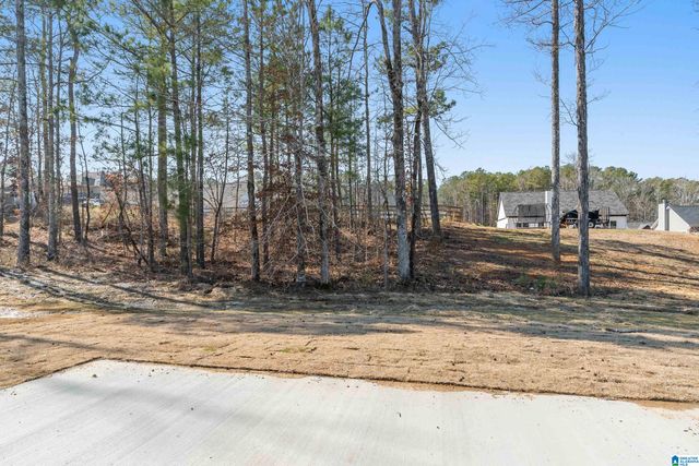 45 ASBURY COURT, Odenville, AL 35120