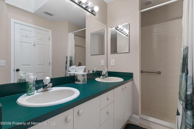 1424 Pinewood Hills Court, Spring Hill, FL 34606
