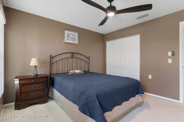 1424 Pinewood Hills Court, Spring Hill, FL 34606