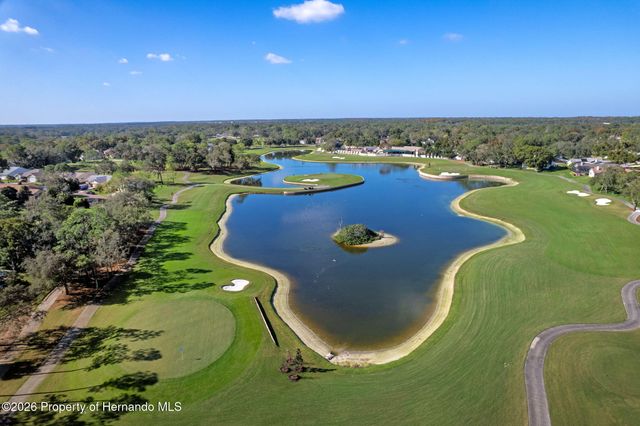 1424 Pinewood Hills Court, Spring Hill, FL 34606