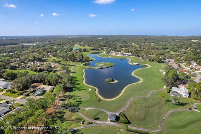 1424 Pinewood Hills Court, Spring Hill, FL 34606