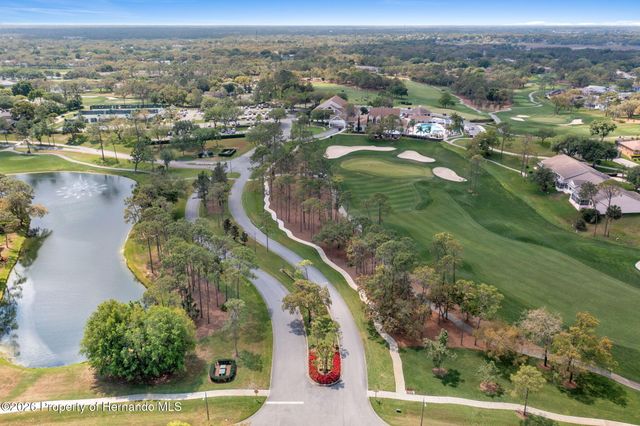 1424 Pinewood Hills Court, Spring Hill, FL 34606
