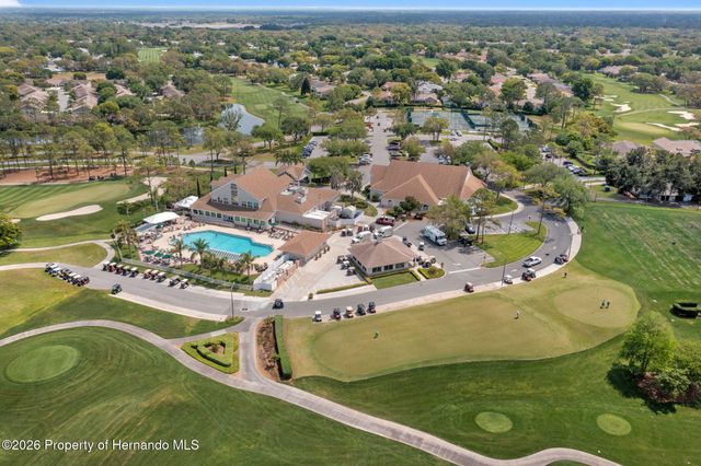 1424 Pinewood Hills Court, Spring Hill, FL 34606
