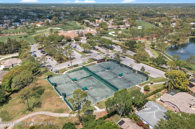 1424 Pinewood Hills Court, Spring Hill, FL 34606