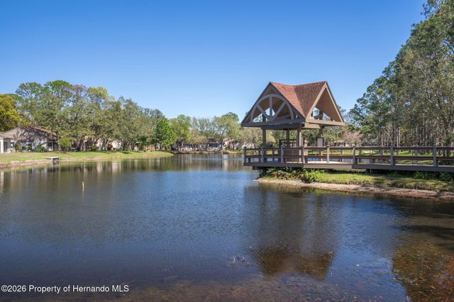 1424 Pinewood Hills Court, Spring Hill, FL 34606