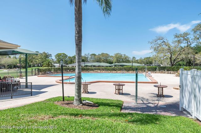 1424 Pinewood Hills Court, Spring Hill, FL 34606