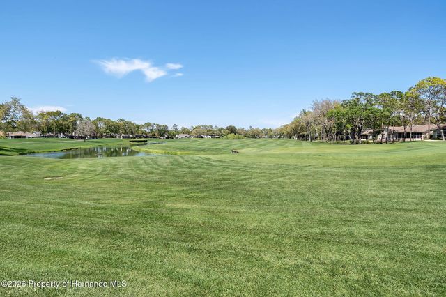 1424 Pinewood Hills Court, Spring Hill, FL 34606