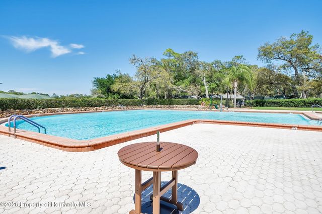 1424 Pinewood Hills Court, Spring Hill, FL 34606
