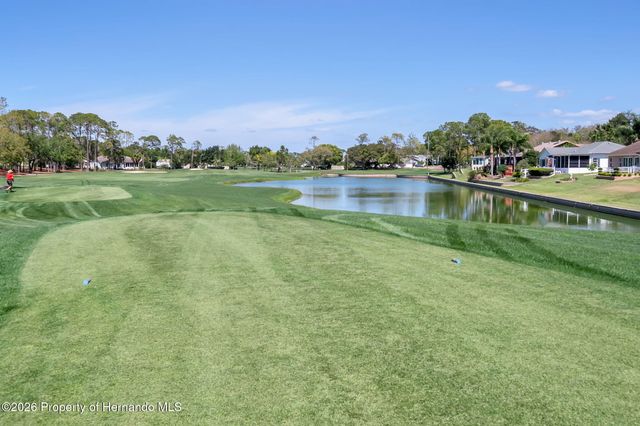 1424 Pinewood Hills Court, Spring Hill, FL 34606