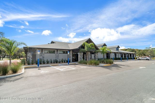 1424 Pinewood Hills Court, Spring Hill, FL 34606