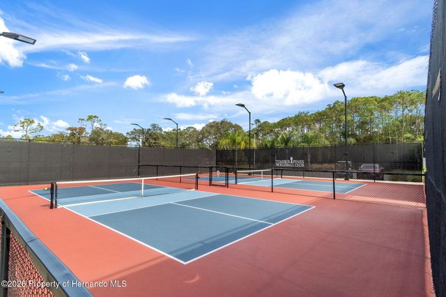 1424 Pinewood Hills Court, Spring Hill, FL 34606