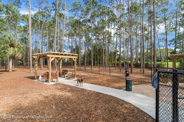 1424 Pinewood Hills Court, Spring Hill, FL 34606