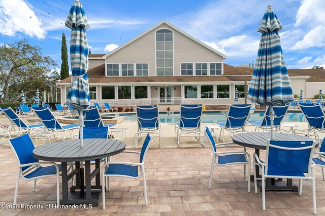 1424 Pinewood Hills Court, Spring Hill, FL 34606