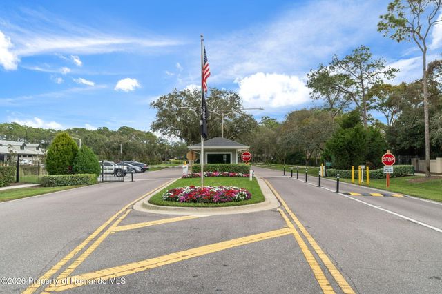 1424 Pinewood Hills Court, Spring Hill, FL 34606