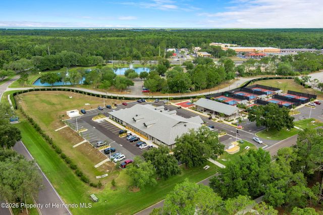 1424 Pinewood Hills Court, Spring Hill, FL 34606