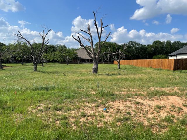 2412 Candlestick Drive, Granbury, TX 76049
